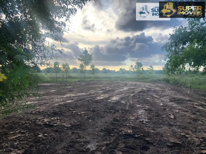 Foto 3 de Casa com 4 quartos à venda, 910m2 em Laranjal, Pelotas - RS