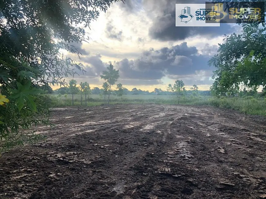 Foto 3 de Casa com 4 quartos à venda, 910m2 em Laranjal, Pelotas - RS