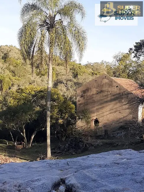 Foto 2 de Chácara com 2 quartos à venda, 42000m2 em Centro, Cerrito - RS
