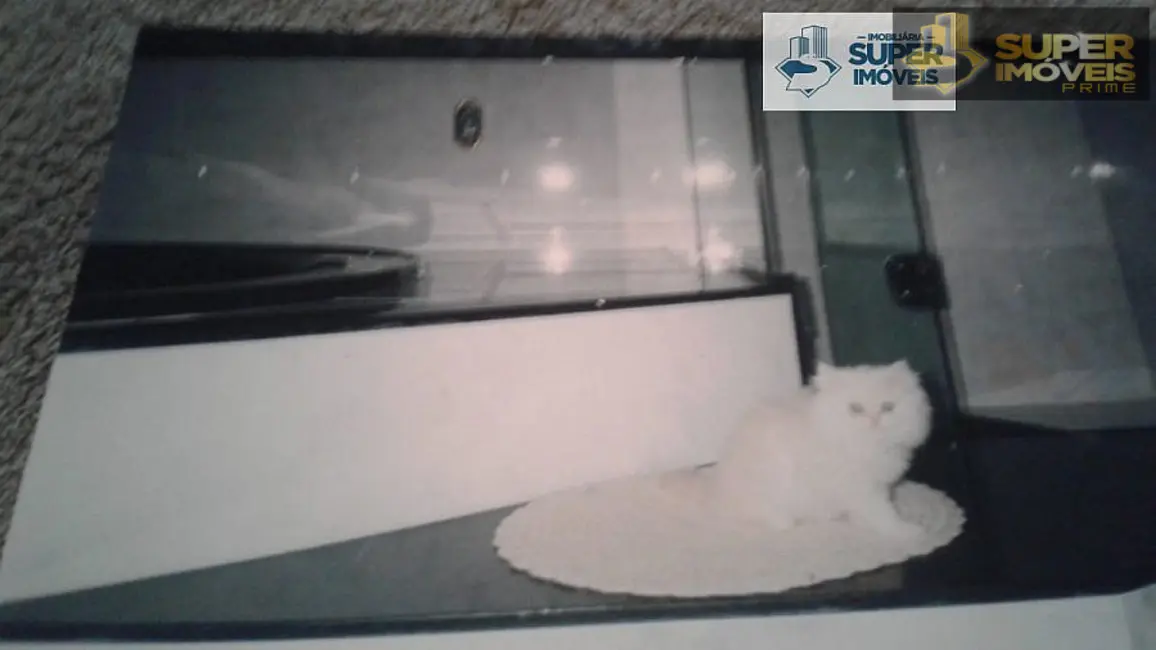 Foto 4 de Casa com 3 quartos à venda, 620m2 em Areal, Pelotas - RS