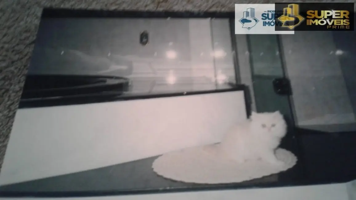 Foto 4 de Casa com 3 quartos à venda, 620m2 em Areal, Pelotas - RS