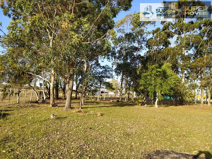 Chácara com 2 quartos à venda, 60000m2 em Quinta, Rio Grande - RS - imagem 6 Foto 6 de Chácara com 2 quartos à venda, 60000m2 em Quinta, Rio Grande - RS
