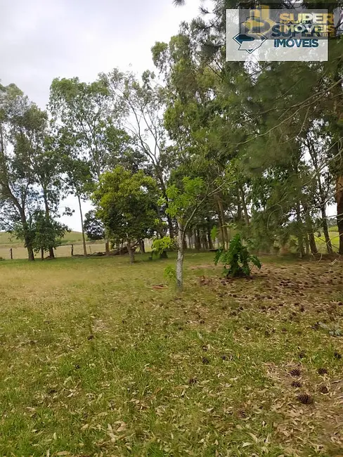 Chácara com 2 quartos à venda, 60000m2 em Quinta, Rio Grande - RS - imagem 8 Foto 8 de Chácara com 2 quartos à venda, 60000m2 em Quinta, Rio Grande - RS