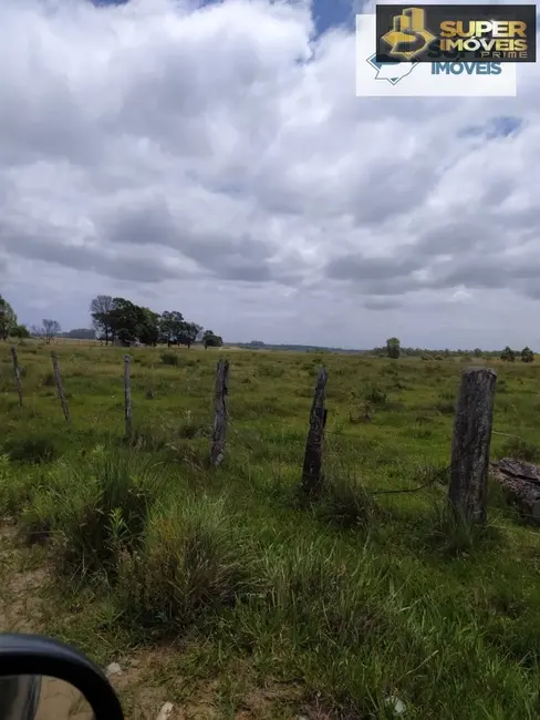 Foto 2 de Chácara com 2 quartos à venda, 60000m2 em Quinta, Rio Grande - RS