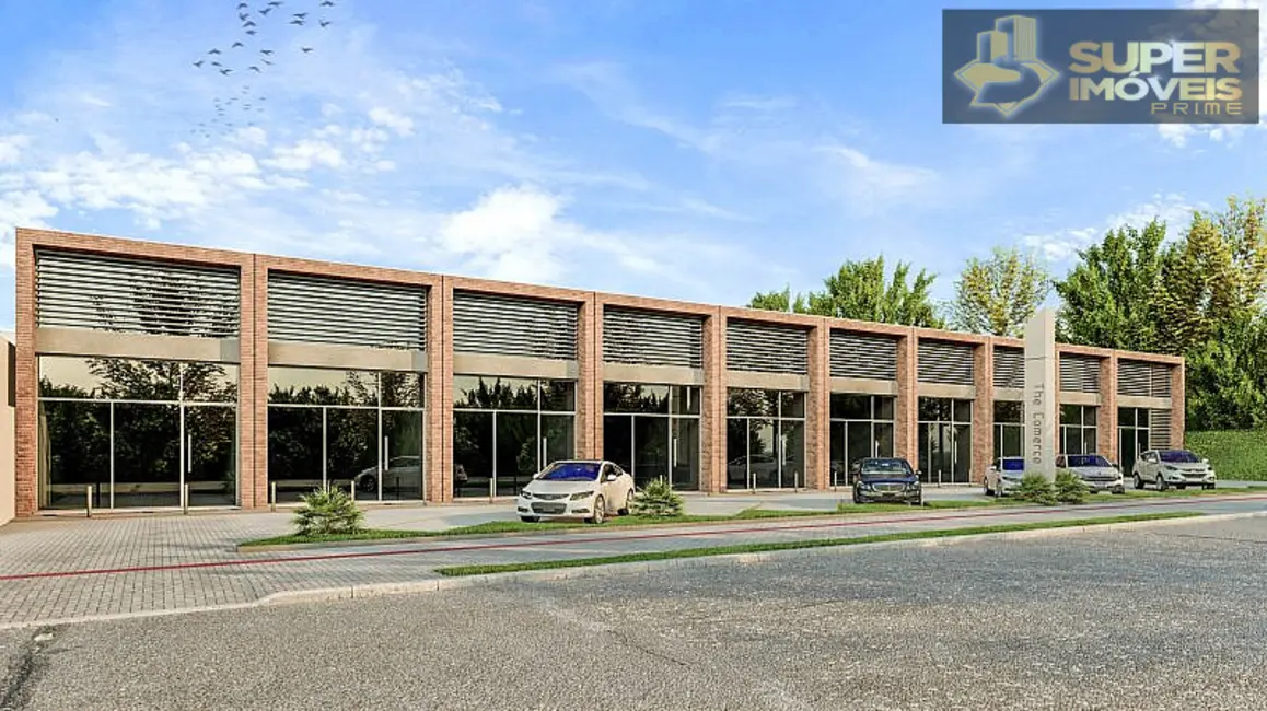 Casa com 3 quartos à venda, 173m2 em Laranjal, Pelotas - RS - imagem 9 Foto 9 de Casa com 3 quartos à venda, 173m2 em Laranjal, Pelotas - RS