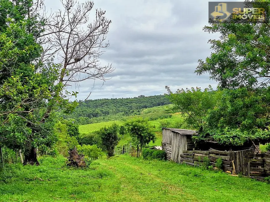 Foto 1 de Chácara com 3 quartos à venda, 30000m2 em Pelotas - RS