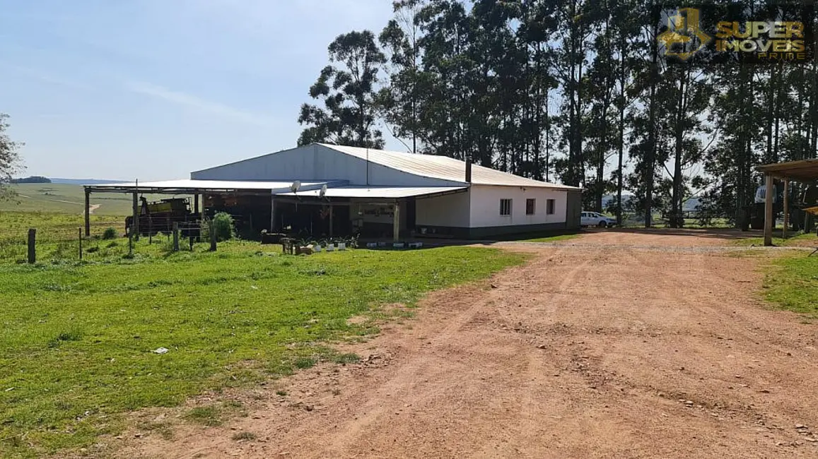 Foto 9 de Fazenda / Haras com 2 quartos à venda, 8750000m2 em Centro, Pedras Altas - RS