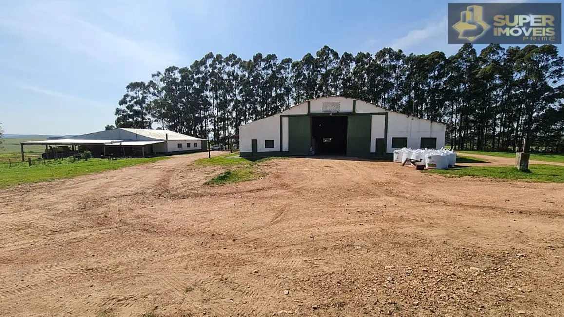 Foto 8 de Fazenda / Haras com 2 quartos à venda, 8750000m2 em Centro, Pedras Altas - RS