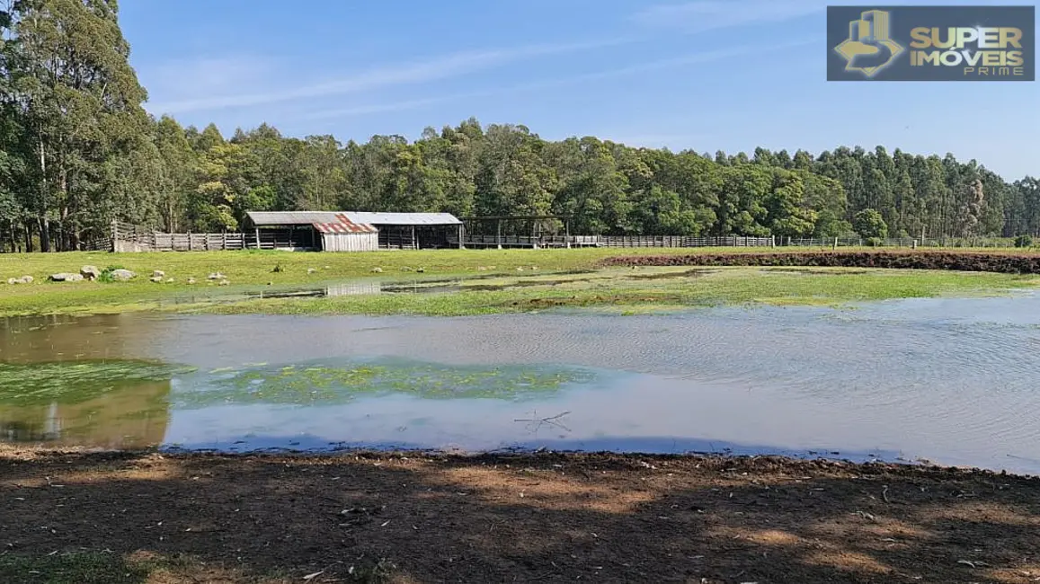Foto 4 de Fazenda / Haras com 2 quartos à venda, 8750000m2 em Centro, Pedras Altas - RS