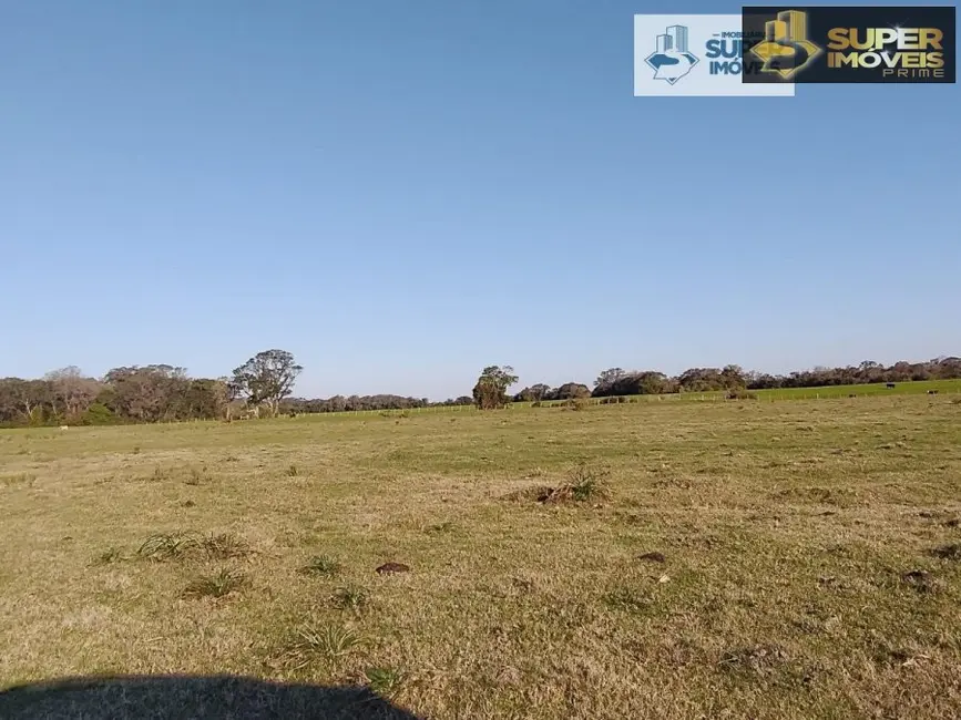 Fazenda / Haras com 1 quarto à venda, 4090000m2 em Centro, Cristal - RS - imagem 3 Foto 3 de Fazenda / Haras com 1 quarto à venda, 4090000m2 em Centro, Cristal - RS