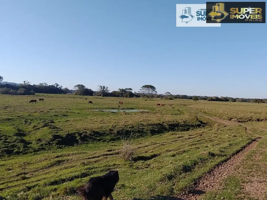 Fazenda / Haras com 1 quarto à venda, 4090000m2 em Centro, Cristal - RS - imagem 2 Foto 2 de Fazenda / Haras com 1 quarto à venda, 4090000m2 em Centro, Cristal - RS