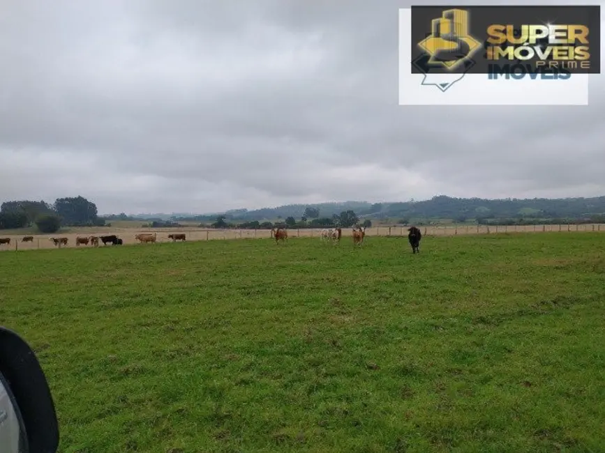 Fazenda / Haras com 1 quarto à venda, 4090000m2 em Centro, Cristal - RS - imagem 9 Foto 9 de Fazenda / Haras com 1 quarto à venda, 4090000m2 em Centro, Cristal - RS