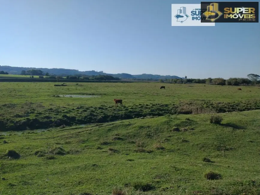 Fazenda / Haras com 1 quarto à venda, 4090000m2 em Centro, Cristal - RS - imagem 7 Foto 7 de Fazenda / Haras com 1 quarto à venda, 4090000m2 em Centro, Cristal - RS