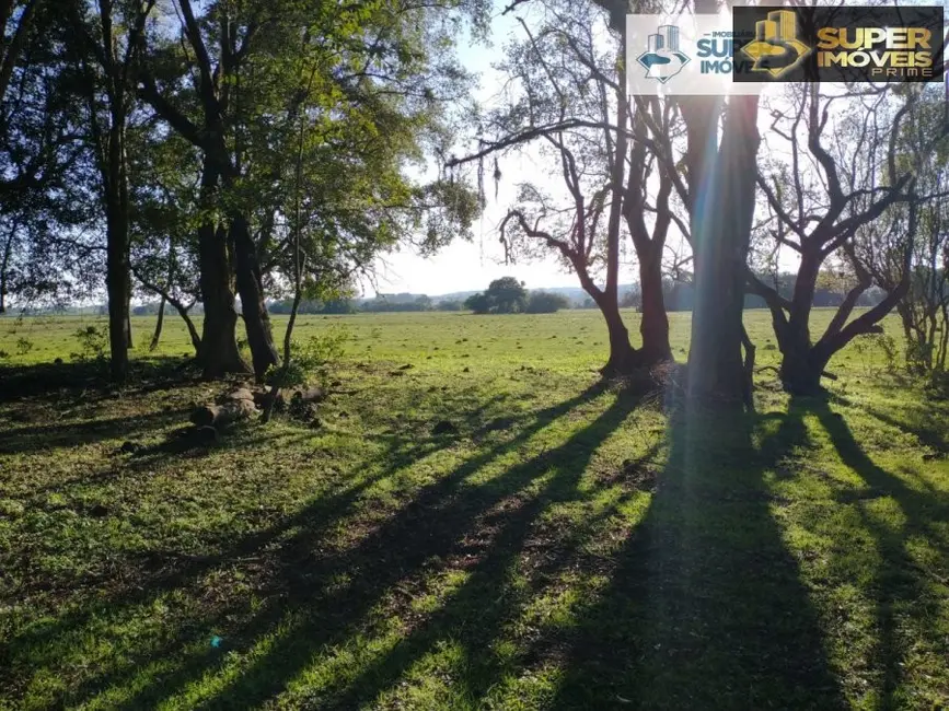 Fazenda / Haras com 1 quarto à venda, 4090000m2 em Centro, Cristal - RS - imagem 4 Foto 4 de Fazenda / Haras com 1 quarto à venda, 4090000m2 em Centro, Cristal - RS