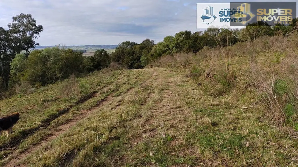 Foto 5 de Fazenda / Haras com 2 quartos à venda, 58000m2 em Centro, Cangucu - RS