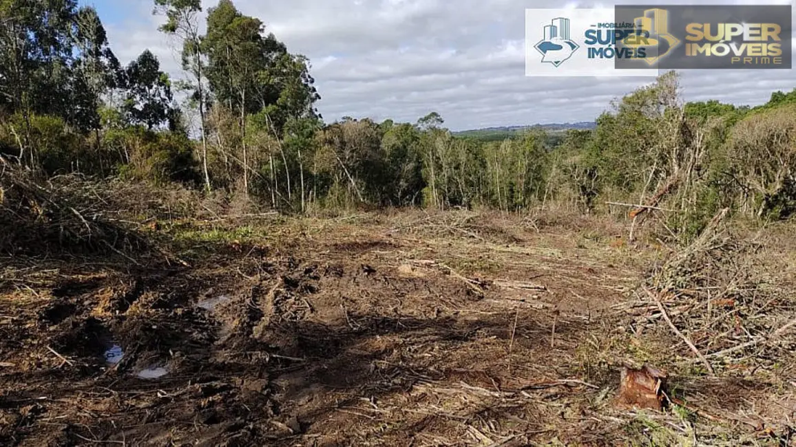 Foto 9 de Fazenda / Haras com 2 quartos à venda, 58000m2 em Centro, Cangucu - RS