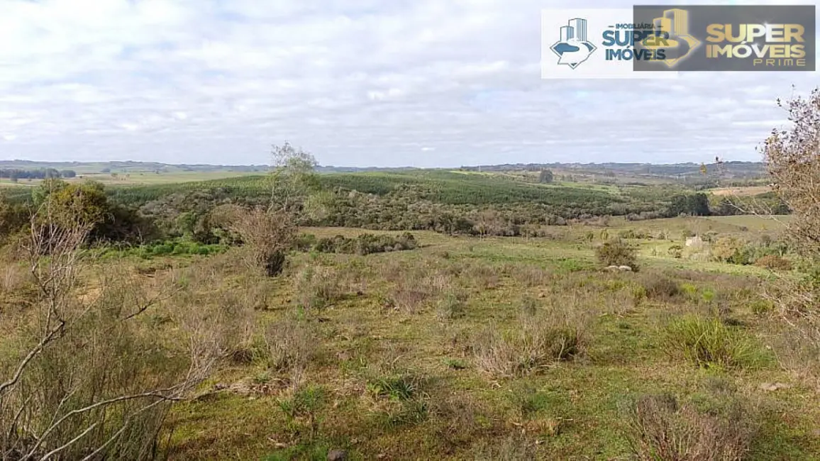 Foto 7 de Fazenda / Haras com 2 quartos à venda, 58000m2 em Centro, Cangucu - RS