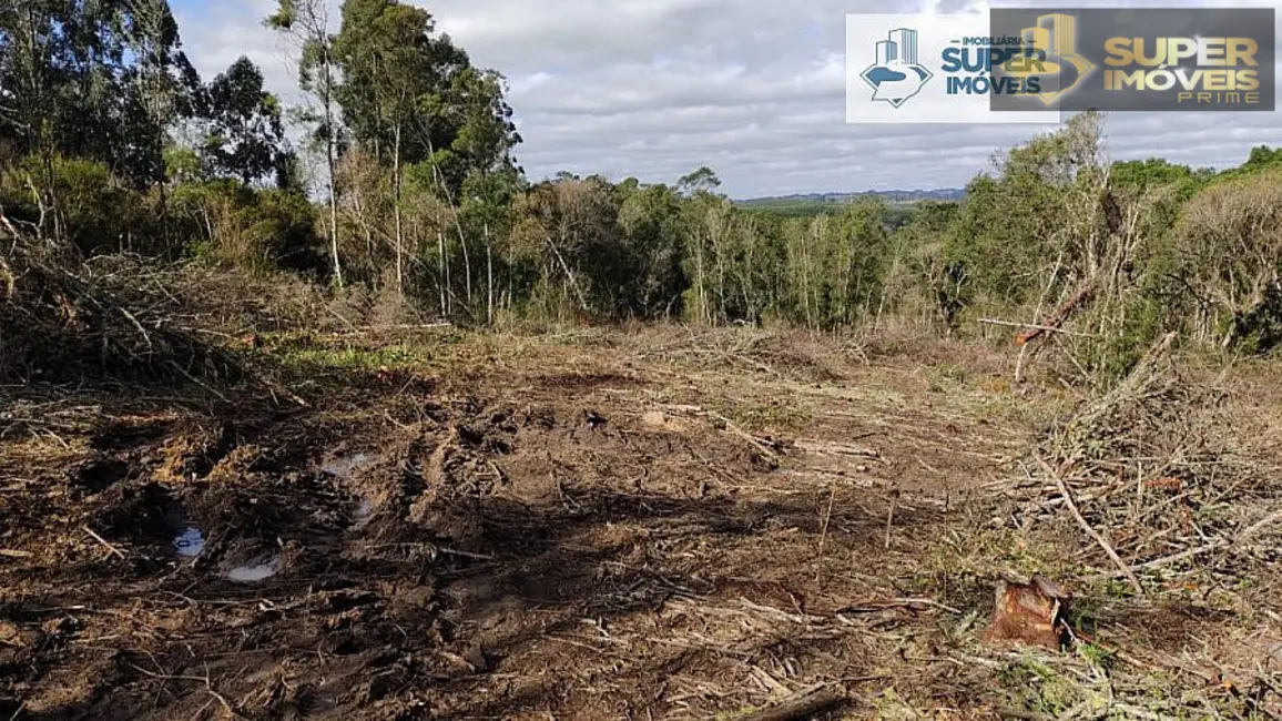 Foto 3 de Fazenda / Haras com 2 quartos à venda, 58000m2 em Centro, Cangucu - RS