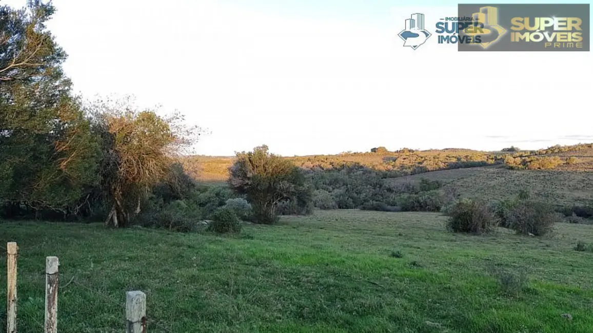 Foto 7 de Fazenda / Haras com 2 quartos à venda, 260000m2 em Centro, Piratini - RS