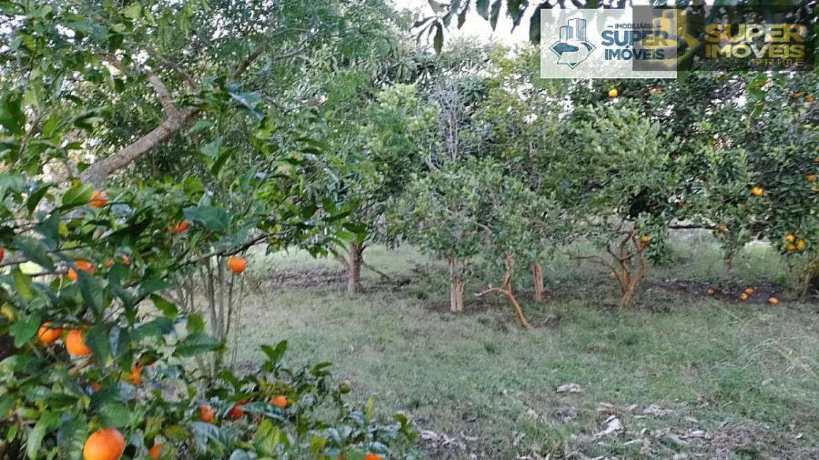 Foto 5 de Fazenda / Haras com 2 quartos à venda, 260000m2 em Centro, Piratini - RS