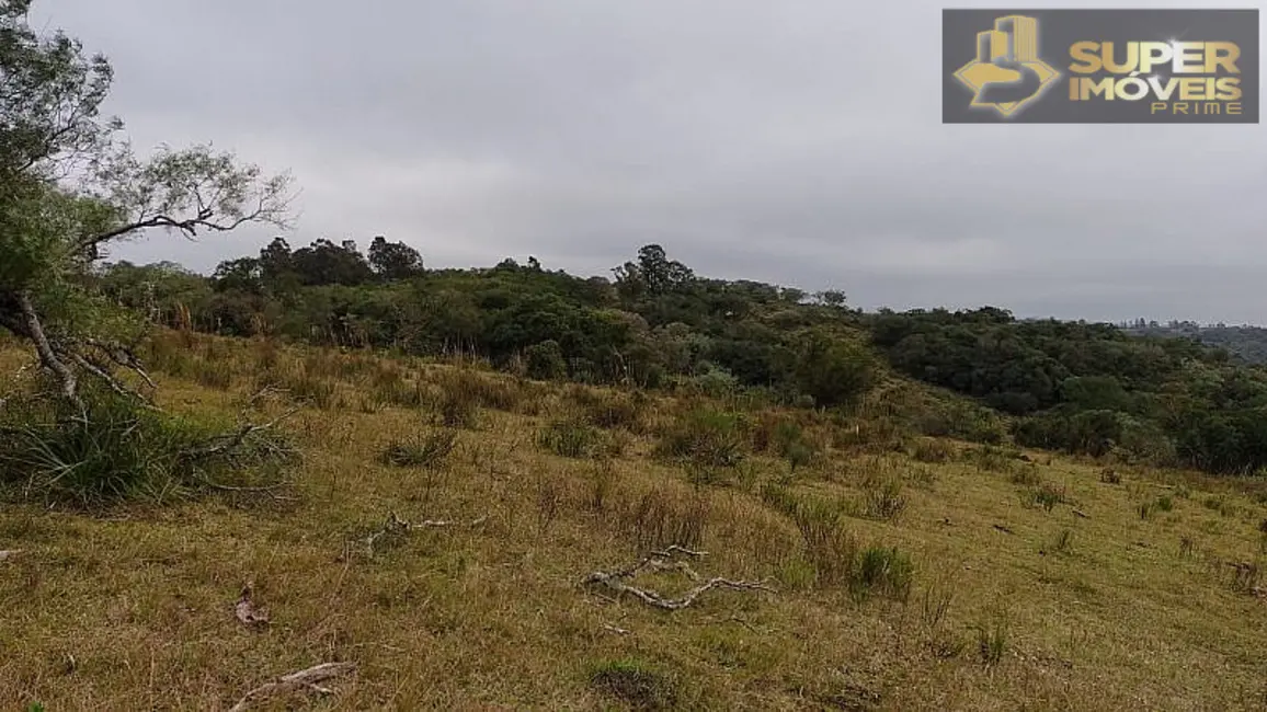 Foto 5 de Fazenda / Haras com 4 quartos à venda, 2600000m2 em Centro, Cangucu - RS