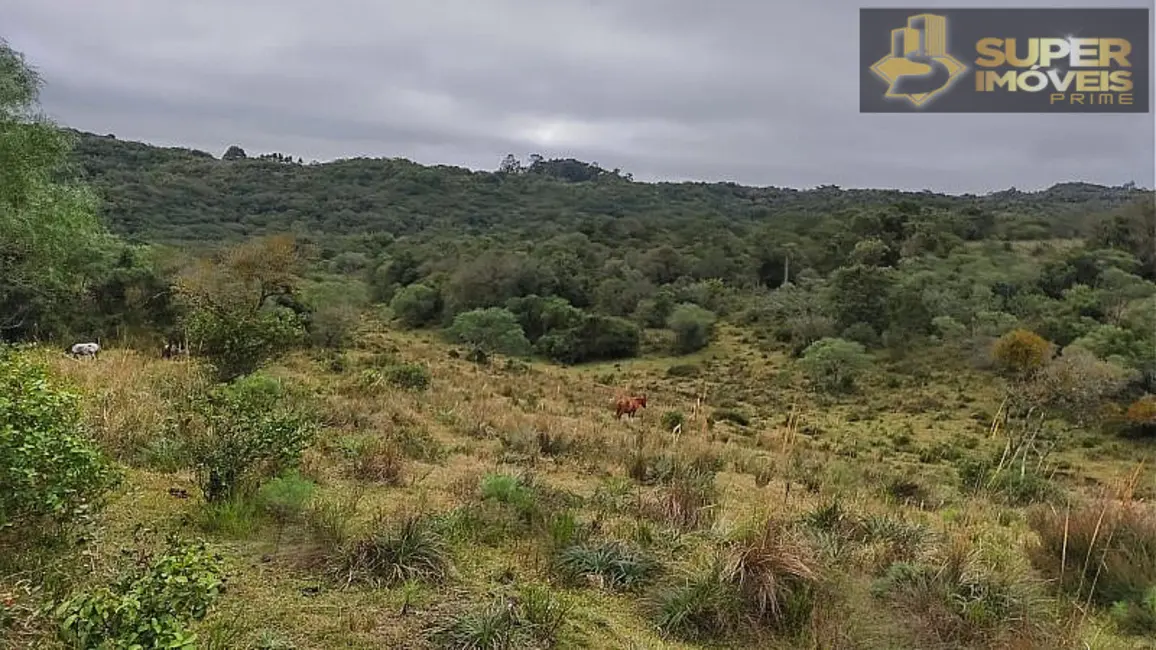 Foto 3 de Fazenda / Haras com 4 quartos à venda, 2600000m2 em Centro, Cangucu - RS