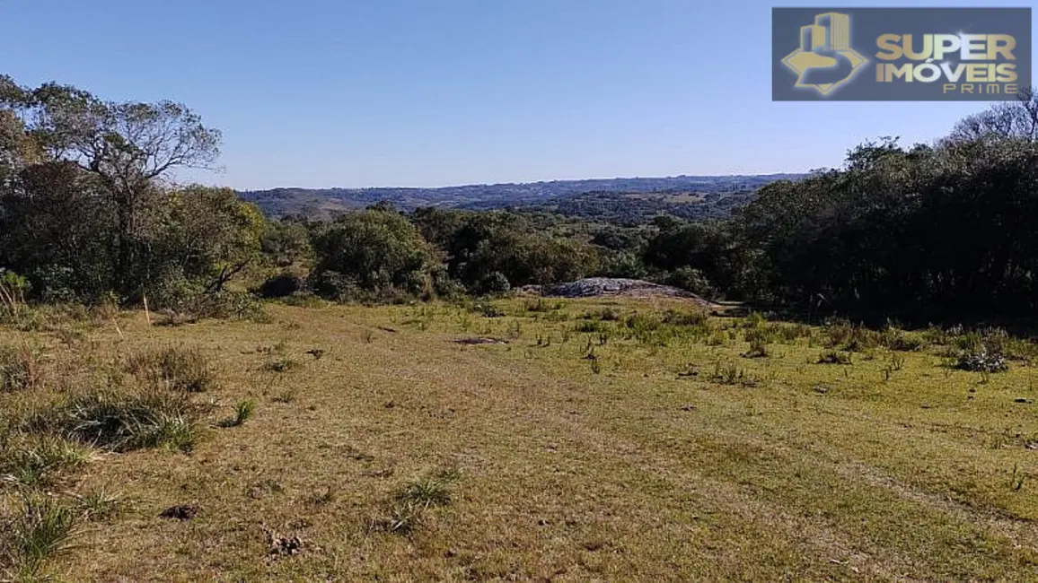 Foto 8 de Fazenda / Haras com 4 quartos à venda, 2600000m2 em Centro, Cangucu - RS