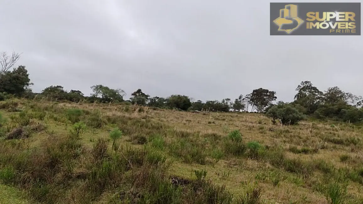 Foto 4 de Fazenda / Haras com 4 quartos à venda, 2600000m2 em Centro, Cangucu - RS