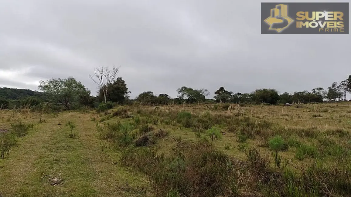 Foto 2 de Fazenda / Haras com 4 quartos à venda, 2600000m2 em Centro, Cangucu - RS