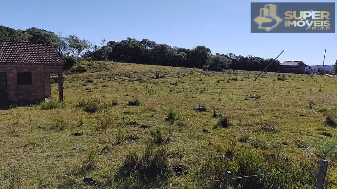 Foto 9 de Fazenda / Haras com 4 quartos à venda, 2600000m2 em Centro, Cangucu - RS