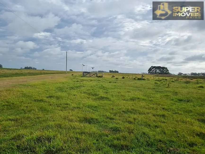 Fazenda / Haras com 2 quartos à venda, 14600000m2 em Quinta, Rio Grande - RS - imagem 2 Foto 2 de Fazenda / Haras com 2 quartos à venda, 14600000m2 em Quinta, Rio Grande - RS