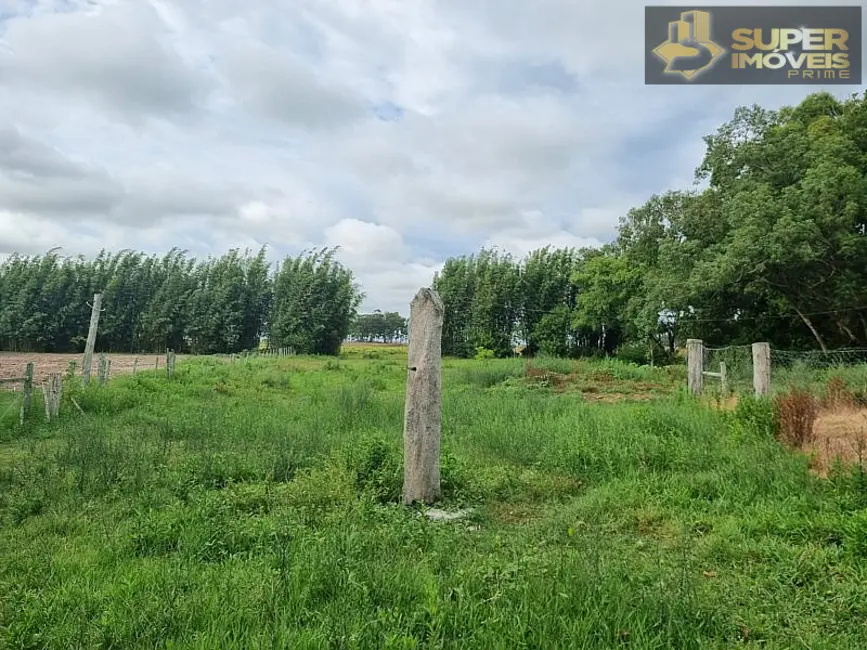 Fazenda / Haras com 2 quartos à venda, 14600000m2 em Quinta, Rio Grande - RS - imagem 7 Foto 7 de Fazenda / Haras com 2 quartos à venda, 14600000m2 em Quinta, Rio Grande - RS