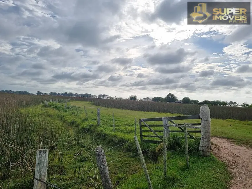 Fazenda / Haras com 2 quartos à venda, 14600000m2 em Quinta, Rio Grande - RS - imagem 9 Foto 9 de Fazenda / Haras com 2 quartos à venda, 14600000m2 em Quinta, Rio Grande - RS