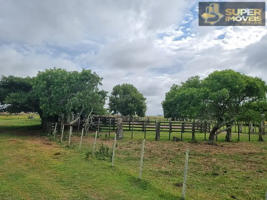 Fazenda / Haras com 2 quartos à venda, 14600000m2 em Quinta, Rio Grande - RS - imagem 8 Foto 8 de Fazenda / Haras com 2 quartos à venda, 14600000m2 em Quinta, Rio Grande - RS
