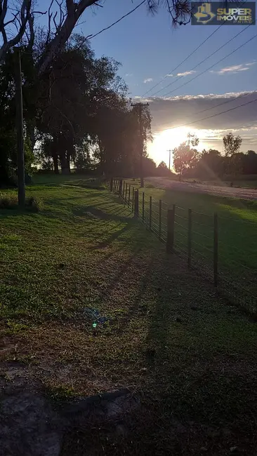 Foto 8 de Chácara com 3 quartos à venda, 20000m2 em Fragata, Pelotas - RS