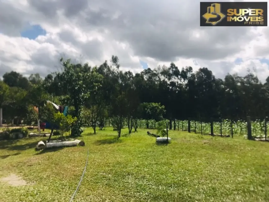 Foto 6 de Fazenda / Haras com 7 quartos à venda, 120000m2 em Pelotas - RS