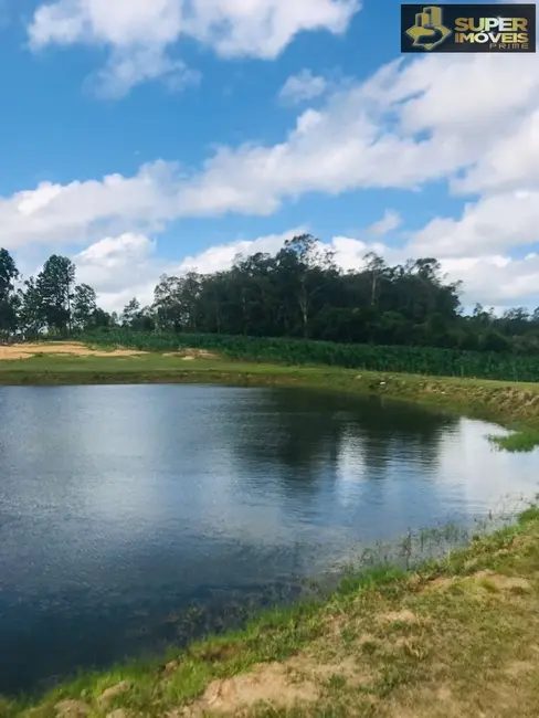 Foto 3 de Fazenda / Haras com 7 quartos à venda, 120000m2 em Pelotas - RS