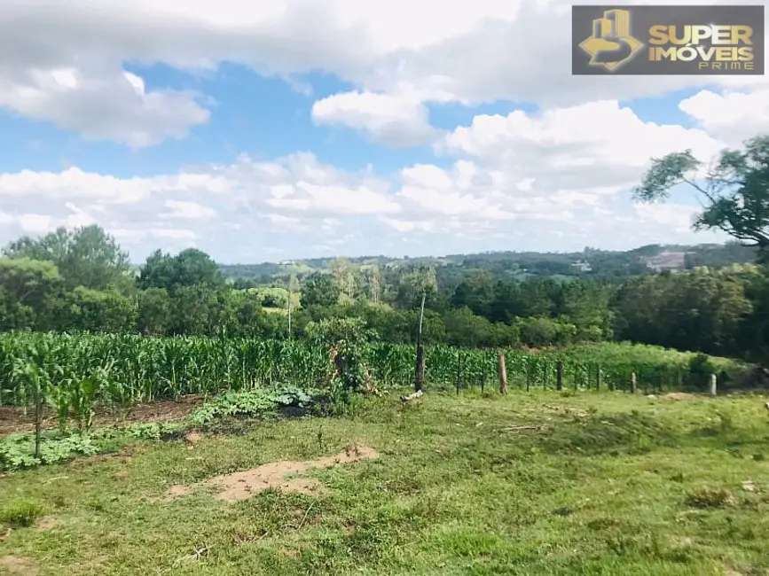 Foto 5 de Fazenda / Haras com 7 quartos à venda, 120000m2 em Pelotas - RS