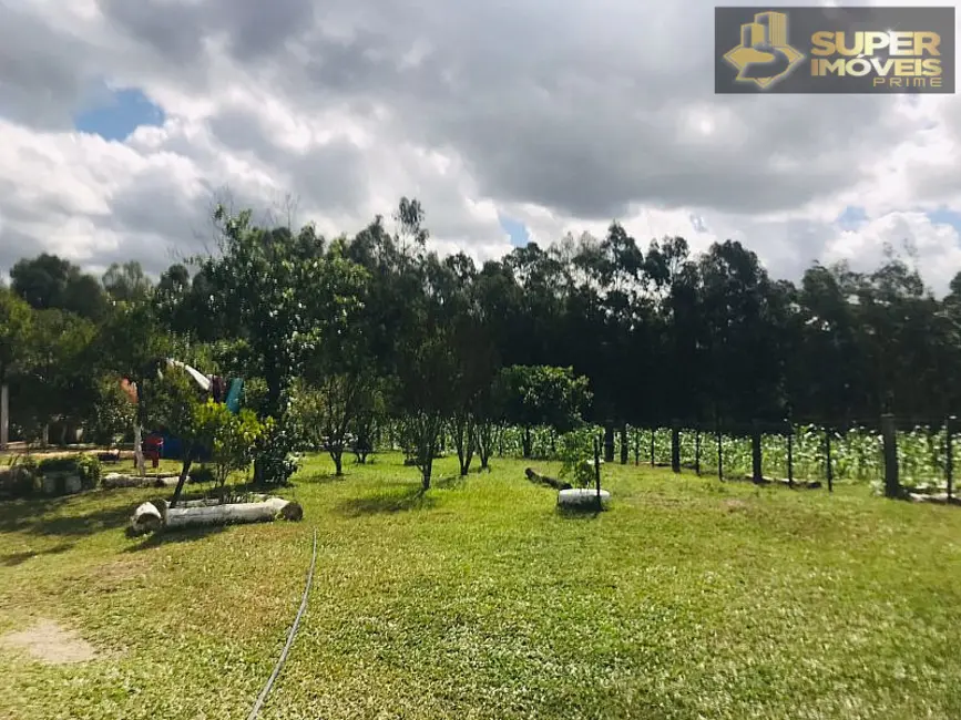 Foto 6 de Fazenda / Haras com 7 quartos à venda, 120000m2 em Pelotas - RS