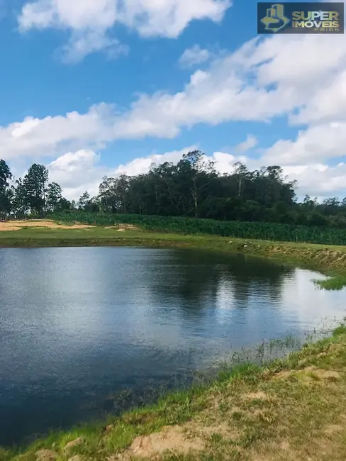 Foto 3 de Fazenda / Haras com 7 quartos à venda, 120000m2 em Pelotas - RS