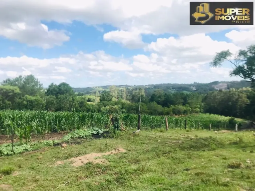 Foto 5 de Fazenda / Haras com 7 quartos à venda, 120000m2 em Pelotas - RS