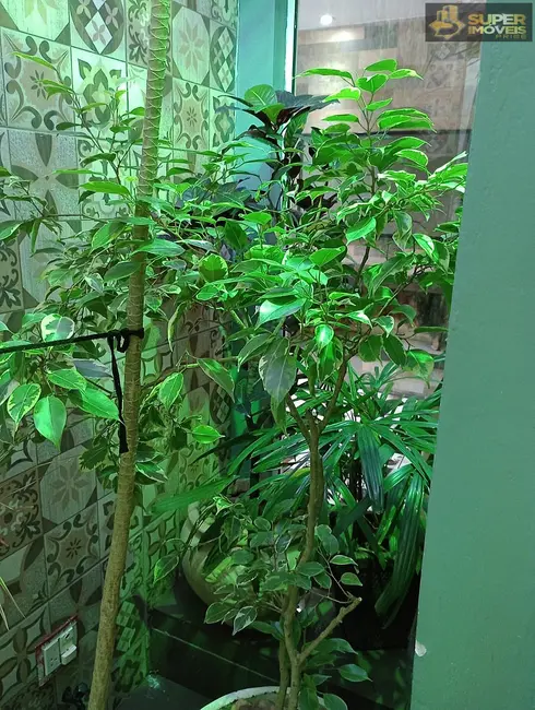 Casa de Condomínio com 3 quartos à venda, 143m2 em Três Vendas, Pelotas - RS - imagem 8 Foto 8 de Casa de Condomínio com 3 quartos à venda, 143m2 em Três Vendas, Pelotas - RS