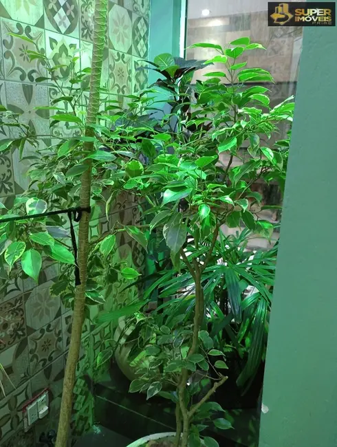 Casa de Condomínio com 3 quartos à venda, 143m2 em Três Vendas, Pelotas - RS - imagem 8 Foto 8 de Casa de Condomínio com 3 quartos à venda, 143m2 em Três Vendas, Pelotas - RS