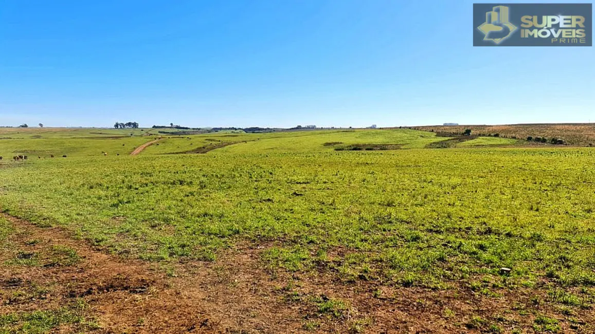 Foto 1 de Fazenda / Haras à venda, 1880000m2 em Área Rural de Bagé, Bage - RS