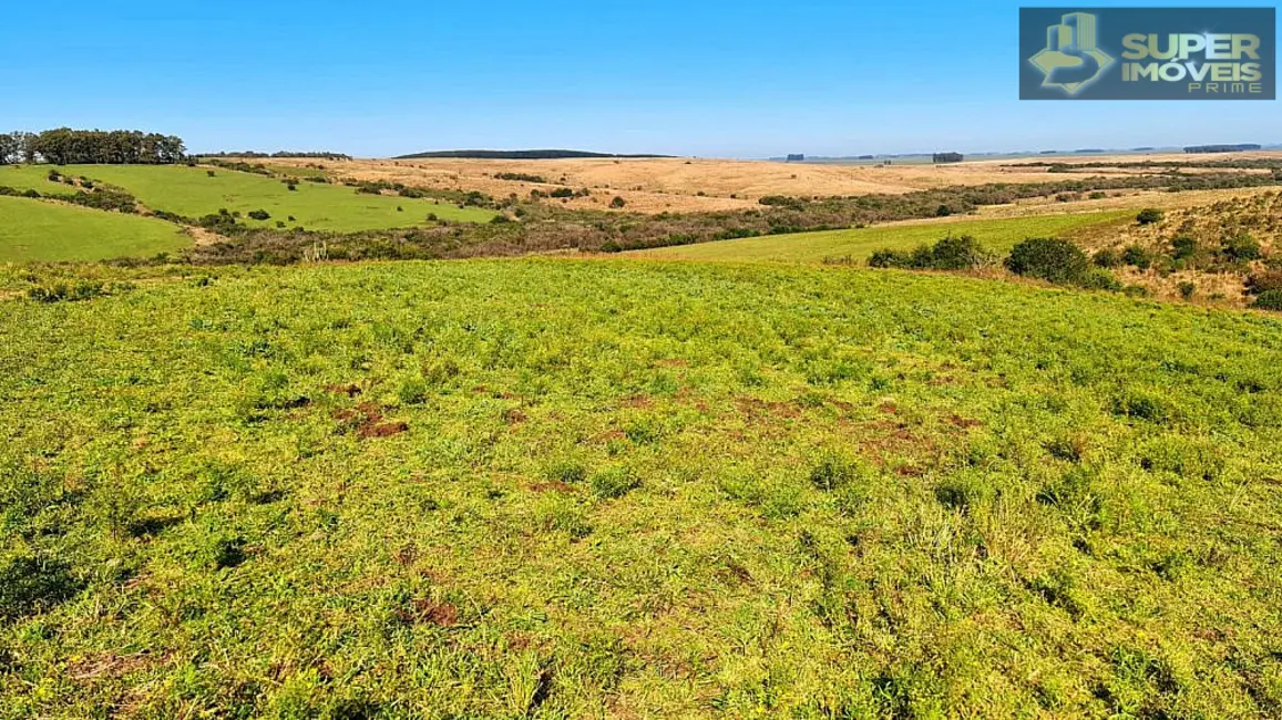 Foto 3 de Fazenda / Haras à venda, 1880000m2 em Área Rural de Bagé, Bage - RS