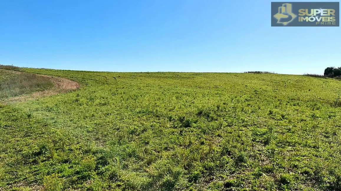 Foto 6 de Fazenda / Haras à venda, 1880000m2 em Área Rural de Bagé, Bage - RS