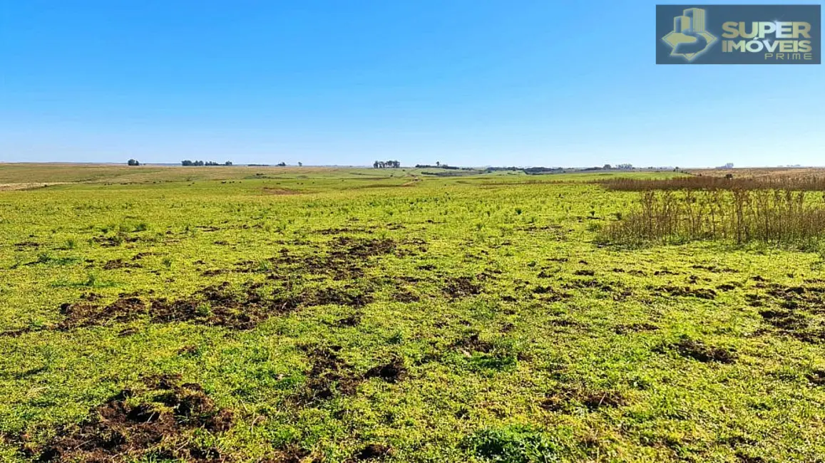 Foto 5 de Fazenda / Haras à venda, 1880000m2 em Área Rural de Bagé, Bage - RS
