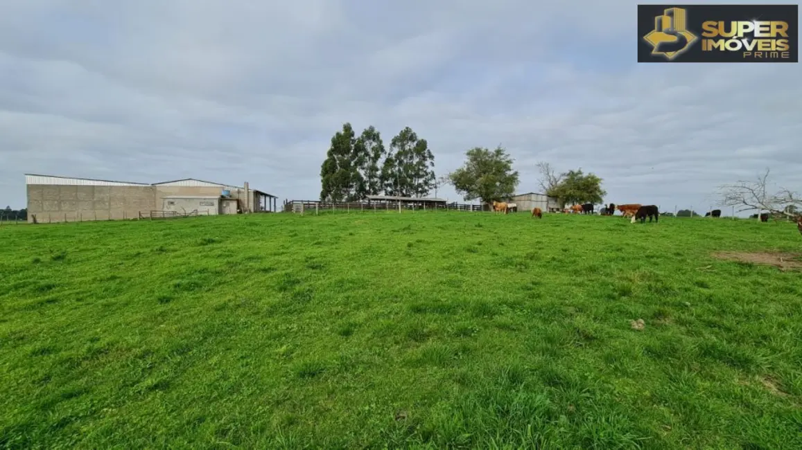 Foto 1 de Fazenda / Haras com 3 quartos à venda, 2000000m2 em Acegua - RS