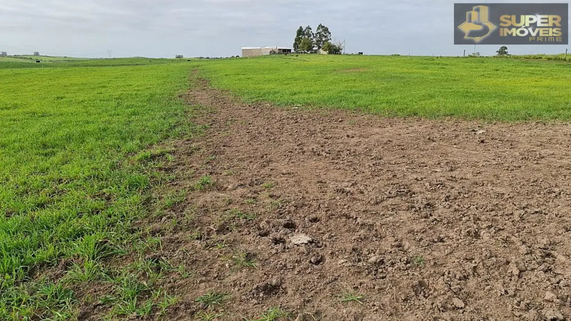 Foto 2 de Fazenda / Haras com 3 quartos à venda, 2000000m2 em Acegua - RS
