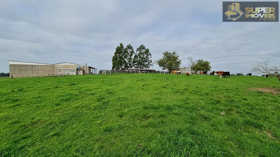 Foto 1 de Fazenda / Haras com 3 quartos à venda, 2000000m2 em Acegua - RS